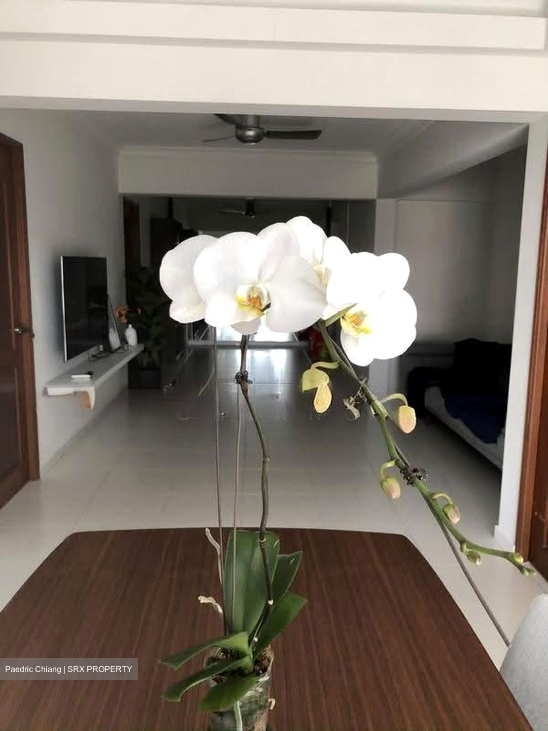 Blk 106 Spottiswoode Park Road (Bukit Merah), HDB 5 Rooms #629371131